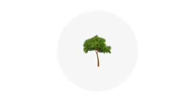 single tree